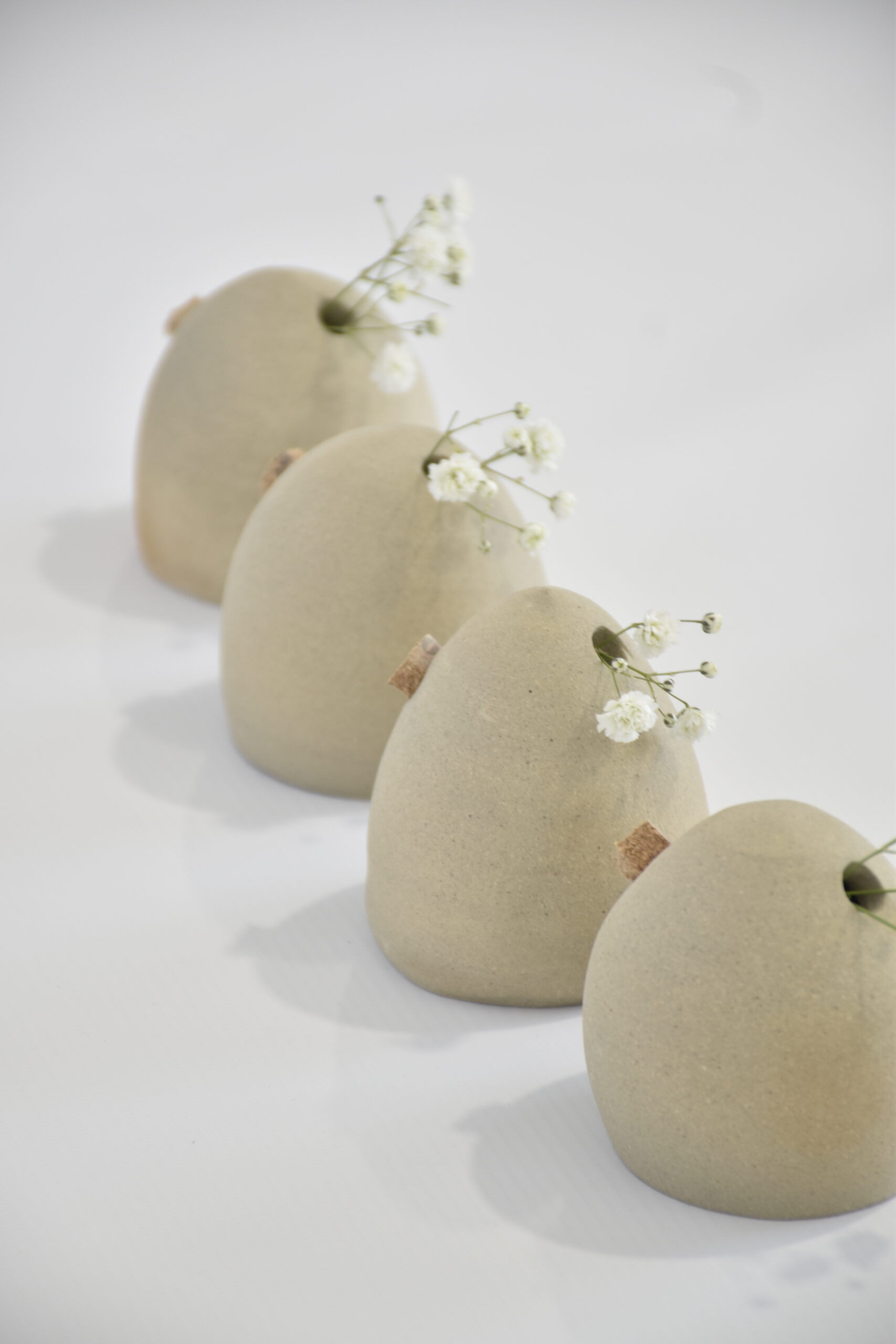 Azucarero Overo - Imagen 2