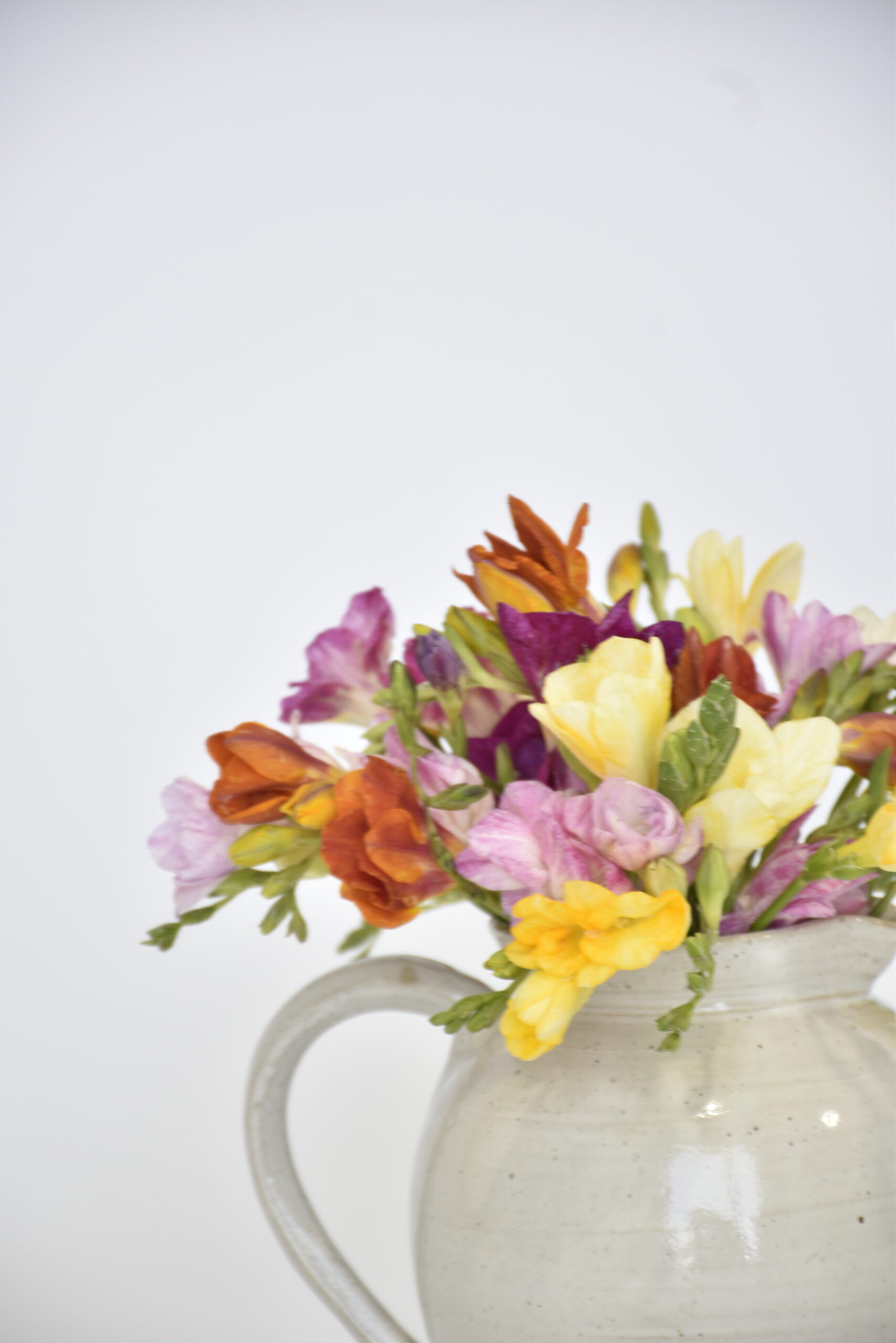 Jarra Maitén - Imagen 2